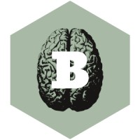 Brainwerk logo - Similar company to Brainwrk
