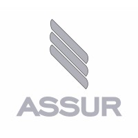 ASSUR logo - Similar company to Azinnex / Azerbaijan Innovations Export Consortium