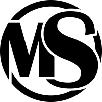 Metalshake by Sweden logo - Similar company to Paam Systems