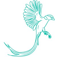 Synapt logo - Similar company to Book Hunter