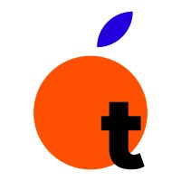 Orange Thinking logo - Similar company to Orange Thinking Consulting