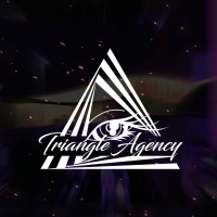 Triangle Agency logo - Similar company to Tote Sonne Gmbh