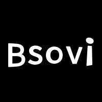 Bsovi Inc. logo - Similar company to Zetdisk