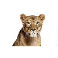 BCC Agrobresciano logo - Similar company to Bcc Garda