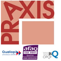 PRAXIS Formation logo - Similar company to Grp Formations