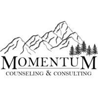 Momentum Counseling and Consulting, LLC logo - Similar company to Kidlink, Inc.