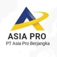 Asia Pro Berjangka logo - Similar company to Torrentfx