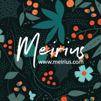 Meirius Group logo - Similar company to Newtex Group
