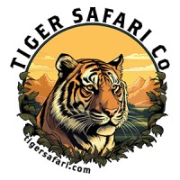 Tiger Safari Co.