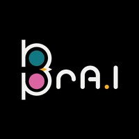 BrAI Madagascar logo - Similar company to Linkhub
