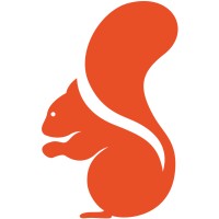 Squirro IT logo - Similar company to Squirro