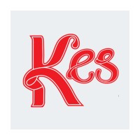 KES Visa & Legalization logo - Similar company to Beernami