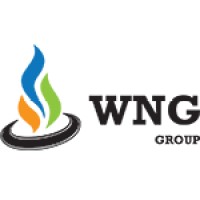 Wng Systems and Solutions Pvt. Ltd. logo - Similar company to Global Foundation For Human Excellence