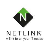 NETLINK IT Group logo - Similar company to Digiryze Pro