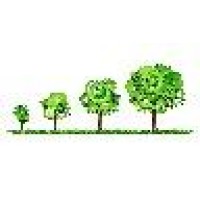 Morrow Consultants, LLC