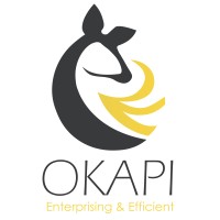 Okapi logo - Similar company to Okapi Technology
