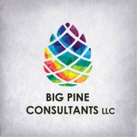 Big Pine Consultants LLC logo - Similar company to Pets After Dark