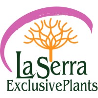La Serra ExclusivePlants logo - Similar company to Intratuin Elst