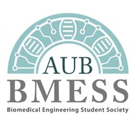 AUB BMESS logo - Similar company to Asme Aub
