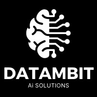DATAMBIT logo - Similar company to Amplified Global™