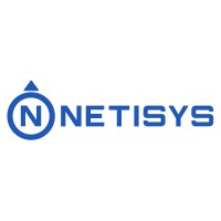 NETISYS.com logo - Similar company to Allentis