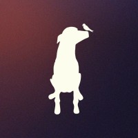 Lady & Bird Films logo - Similar company to Directrope.Com