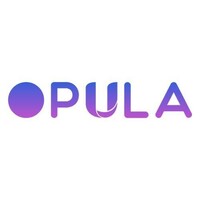 Opula Software Development Pvt. Ltd. logo - Similar company to Web Revived