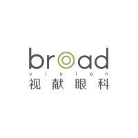 Broad Vision logo - Similar company to Broadvision Perspectives