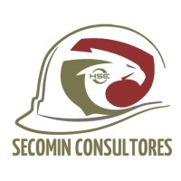 Seguridad Construccion & Mineria - SECOMIN Consultores logo - Similar company to 3Dev Business & Consulting Sac