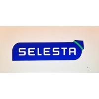 Selesta Engineering Solutions