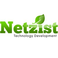 Netzist logo - Similar company to Keshtyaar