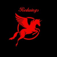 Red wings logo - Similar company to Leadership Boot