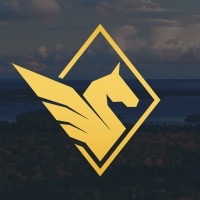 Pegasus Resources Inc. logo - Similar company to Equus Total Return
