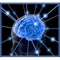 Thought Expressions logo - Similar company to Humera Shahid Organisation