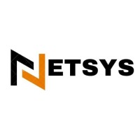 Netsys logo - Similar company to Netsys+