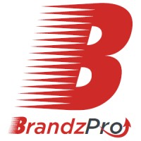 BrandzPro Media logo - Similar company to Youscore Solutions