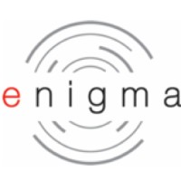 The Enigma Group LLC logo - Similar company to The Producers Group, Llc.
