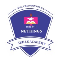 Netkings Institute of Computer Education Skills,Innovation & Technology (NICESIT) logo - Similar company to Netkings