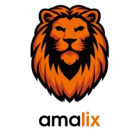 amalix Consulting logo - Similar company to Converts