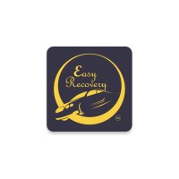 Easy Recovery logo - Similar company to Reposystems.Com Inc