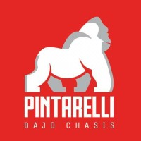 Pintarelli S.A logo - Similar company to Ferramentasbr
