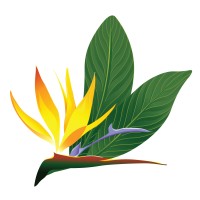 Isla Home logo - Similar company to Bone Vivant