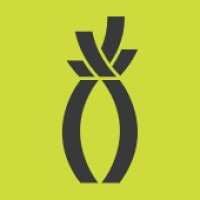 Pineapple Consulting logo - Similar company to Paramount Vision