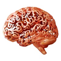 Best Neurosurgeon in Pune-Dr. Sarangrote logo - Similar company to Comprehensive Neurospine - Dr. Carlos Casas, Neurosurgeon & Spine Surgeon