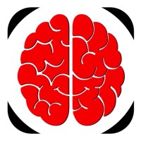 Logic Booster - Brain Games logo - Similar company to Software Developer Online Courses