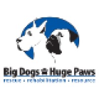 Big Dogs Huge Paws Inc