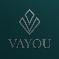 VAYOU logo - Similar company to Brandelize