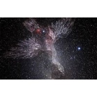 Cygnus Systems LLC logo - Similar company to Cointelegraph En Español