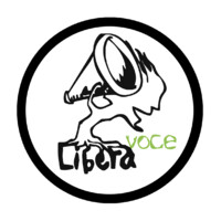 Libera Voce APS logo - Similar company to Trieste.News Quotidiano E Agenzia Di Media