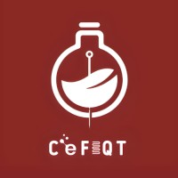 Centro de Estudiantes de la FIQT logo - Similar company to Carelec - Universidad Nacional De Ingeniería - Fiqt